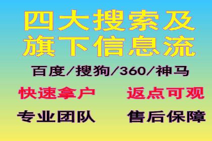 SEM精准广告投放的五大成功案例